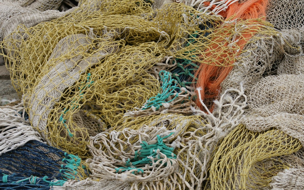Fisher nets